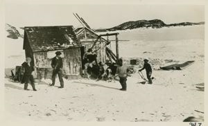 Image of Feeding the dogs - Amos Voisey's House